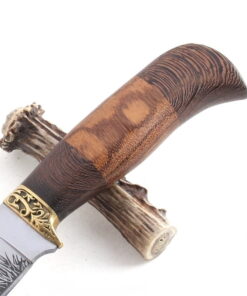 Alternative view of MEDNIEKU NAZIS