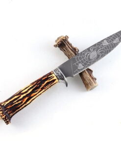 Alternative view of TŪRISMA NAZIS