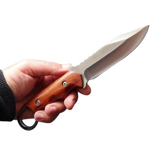 MEDNIEKU NAZIS FB1775